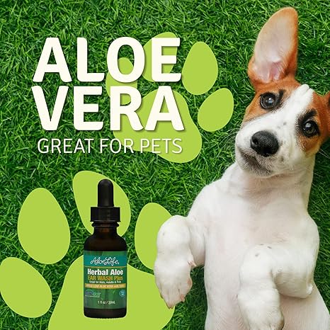 Herbal Aloe Ear Wash Plus