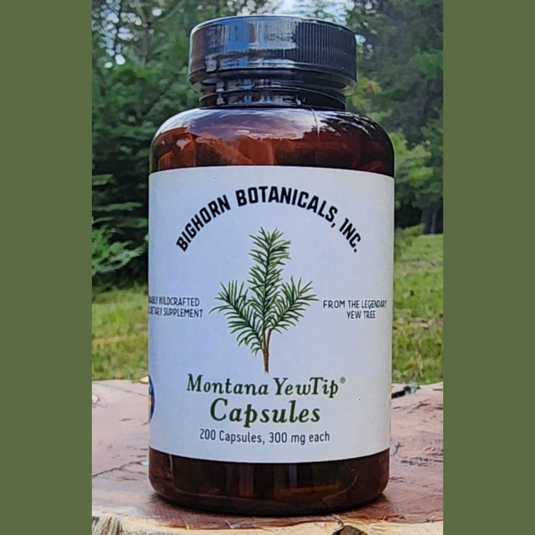 Montana Yew Tip 300mg