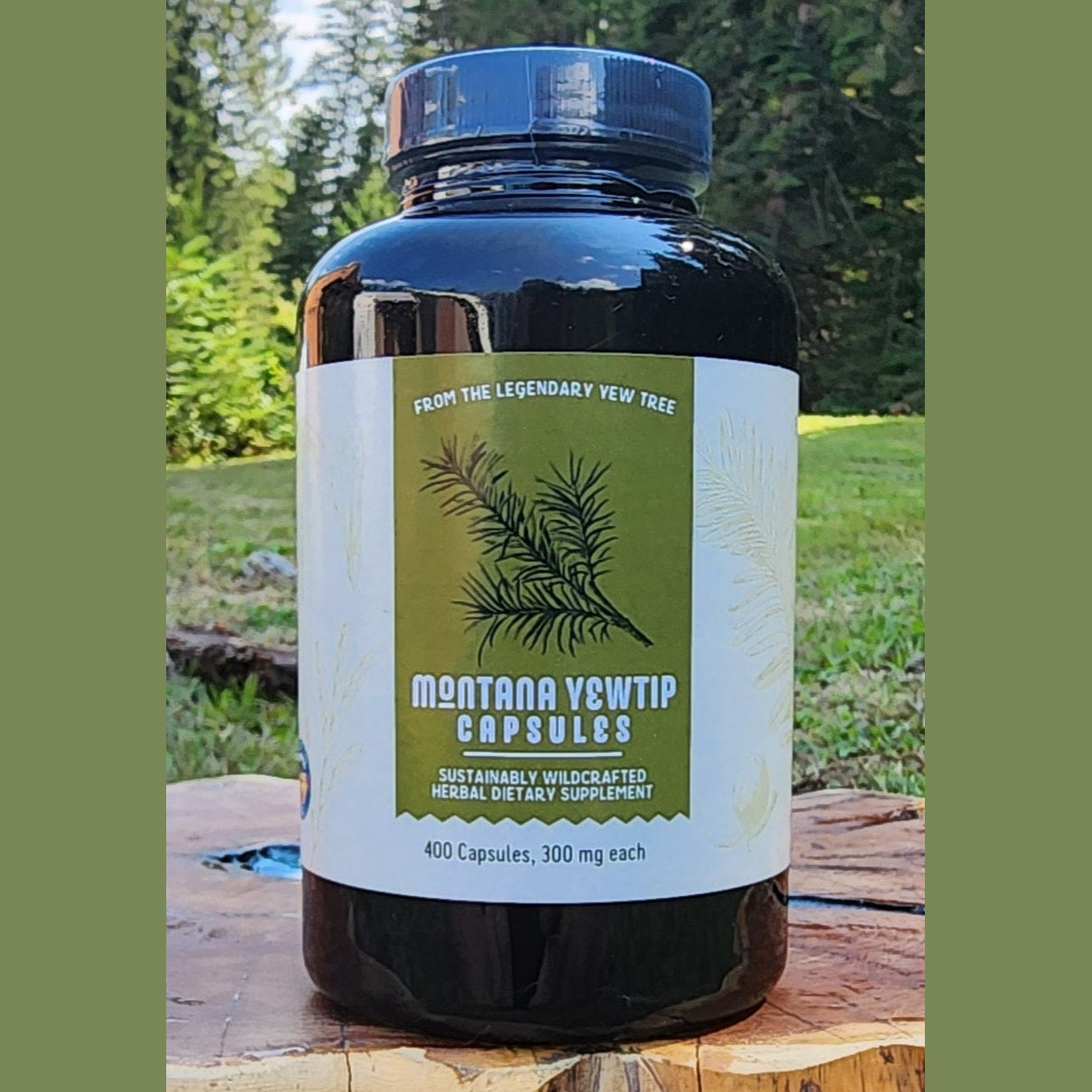 Montana Yew Tip 300mg