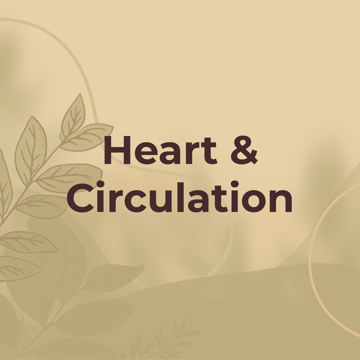 Heart & Circulation