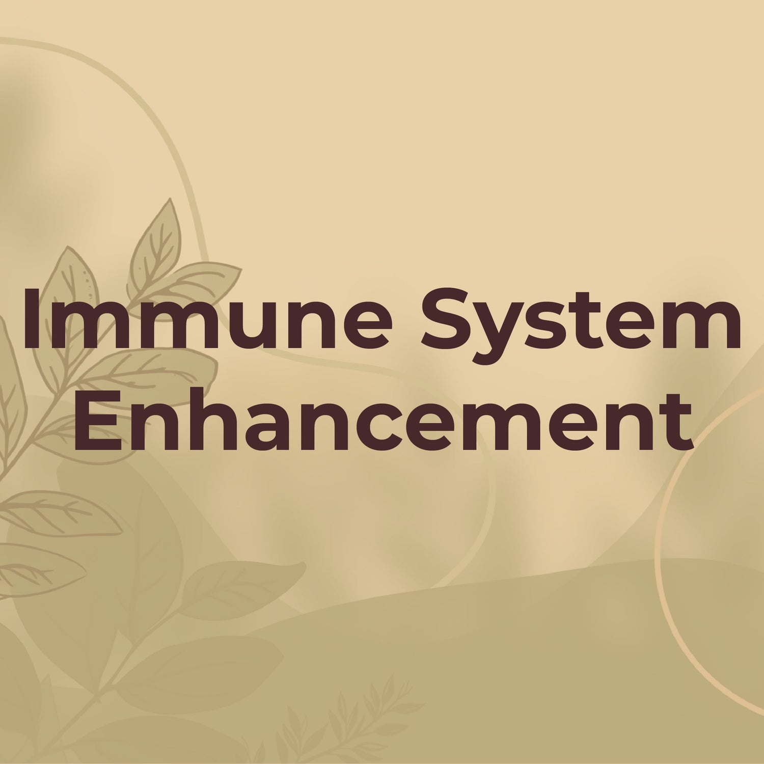 Immune System Enhancement