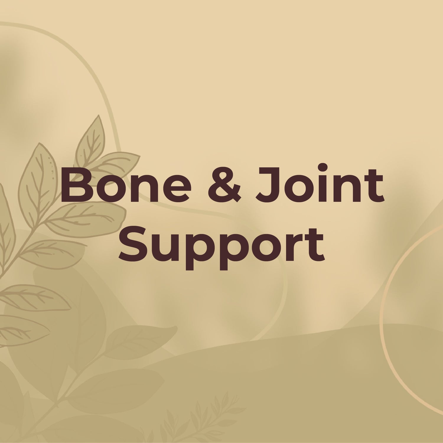 Bone & Joint Support