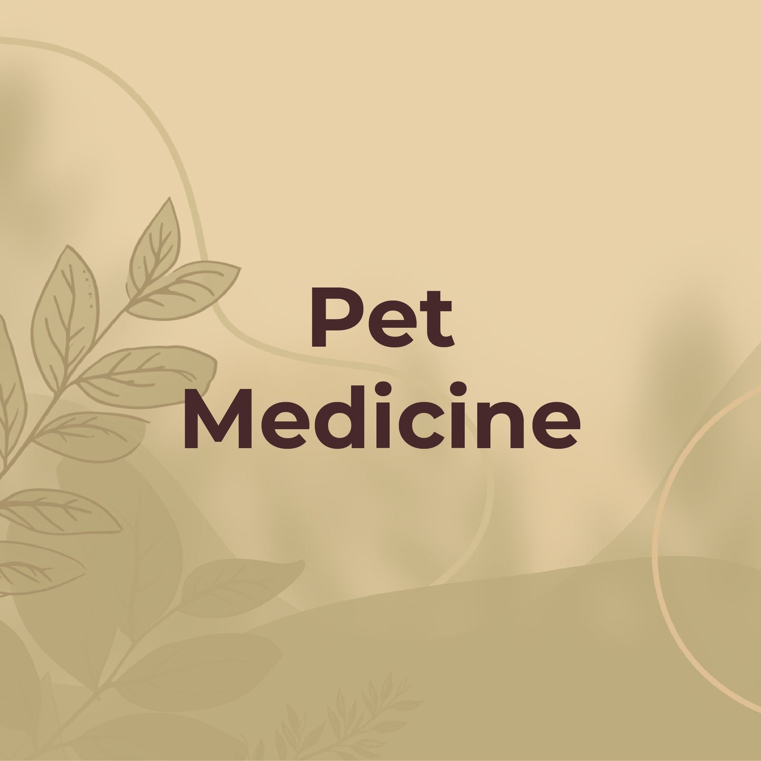 Pet Medicine