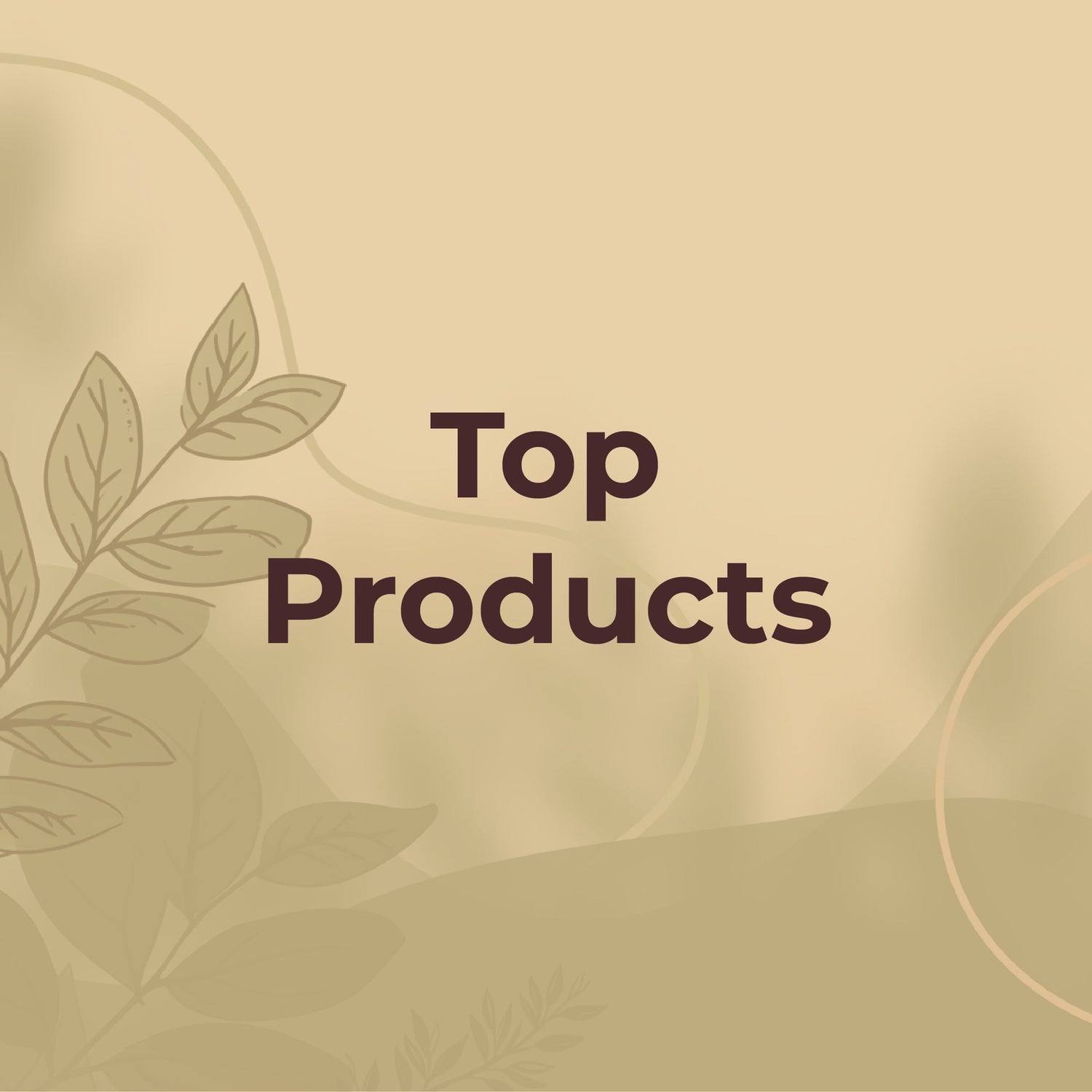 Top Products