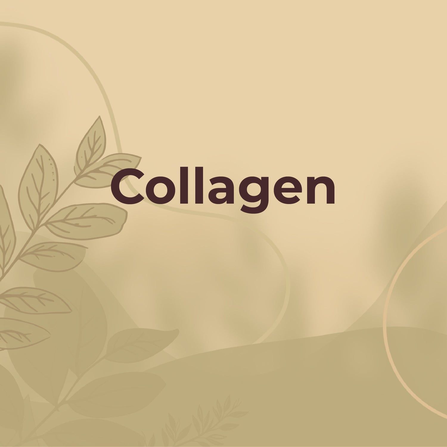 Collagen