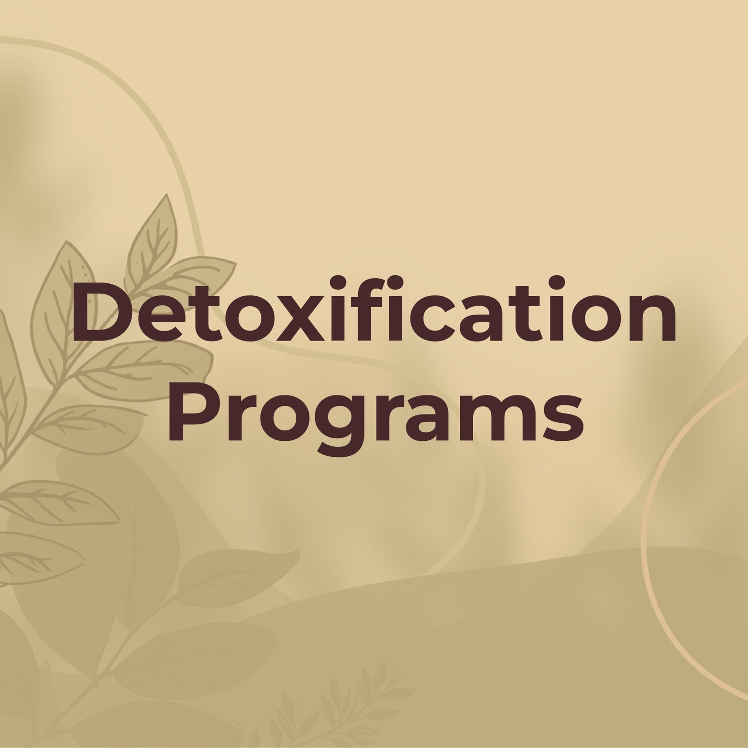 Detoxification Programs