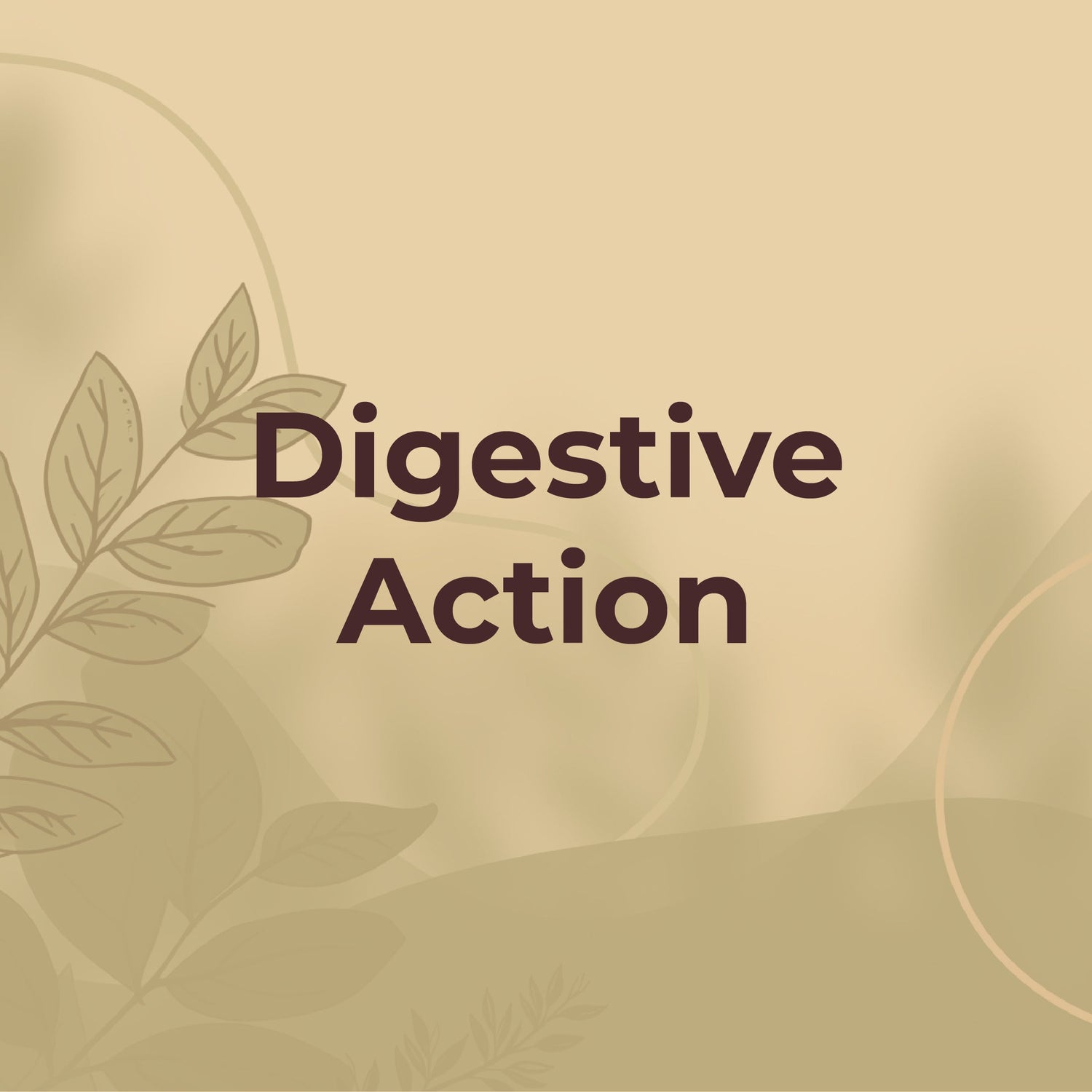 Digestive Action