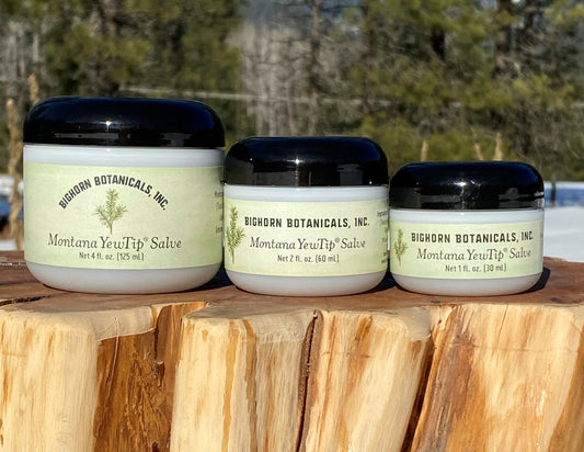 Montana YewTip Salve