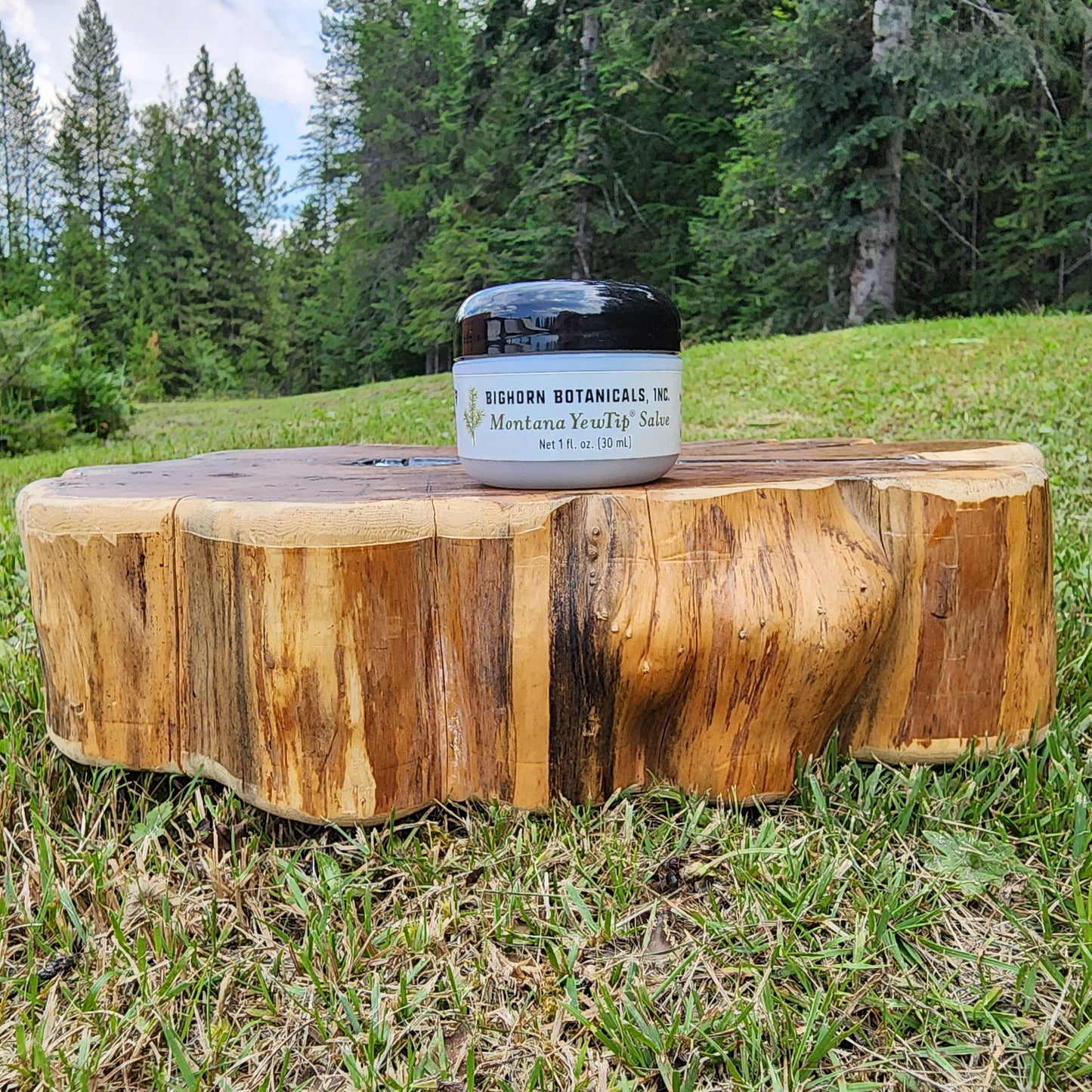 Montana YewTip Salve