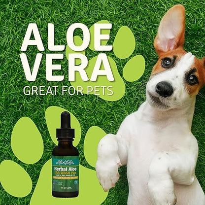 Herbal Aloe Ear Wash Plus