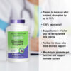 Digestive Enzyme Support 240 VCaps