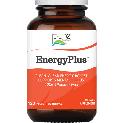 EnergyPlus