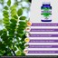 Moringa