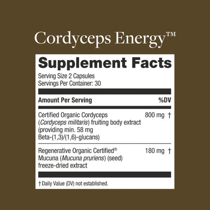 Cordyceps Energy