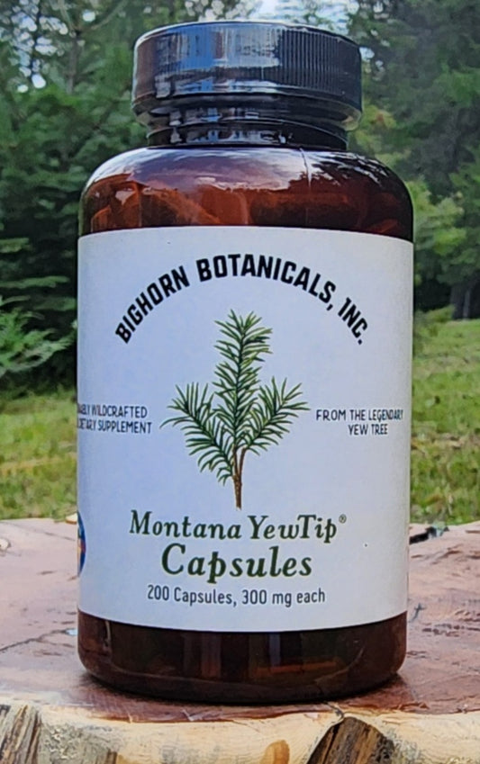 Montana Yew Tip 300mg