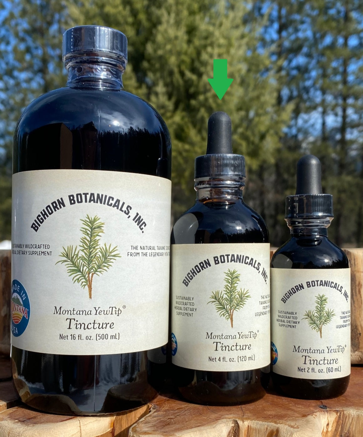 Montana Yew Tip Tincture