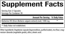 WellBetX Berberine 1000 mg