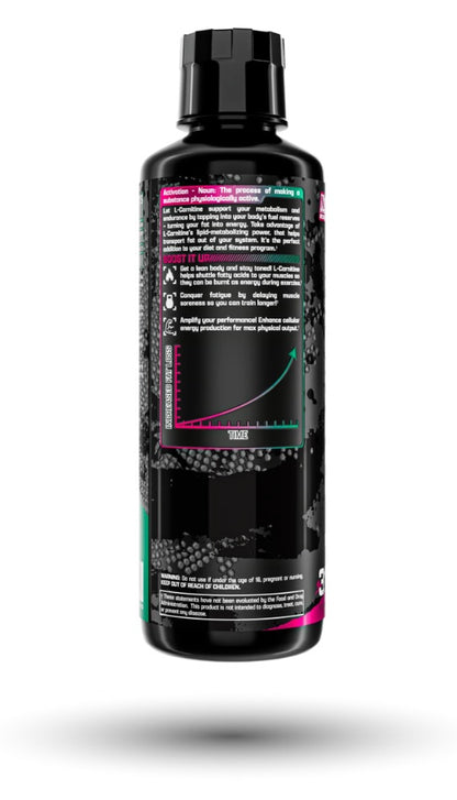 L-Carnitine 3000